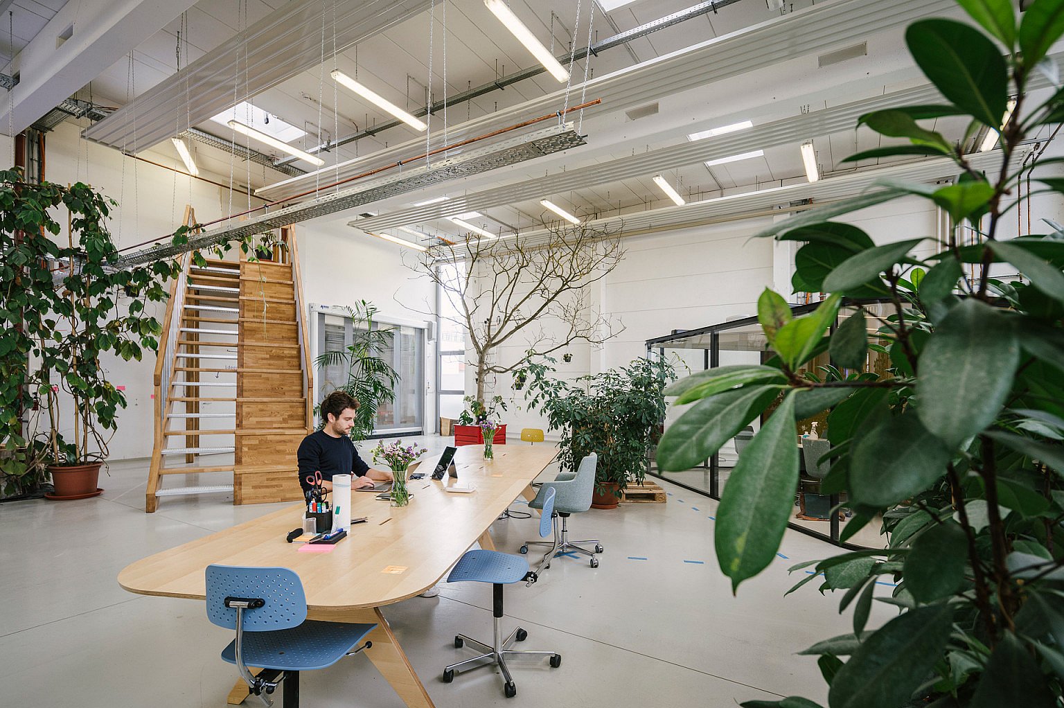 Blick in die Präsenzstelle Luckenwalde im offenen großen ehemaligen Gewerbehof sitze ein junger Mann am langen Besprechungstisch und arbeitet am Laptop. Im Hintergrund sind ein gläserner Besprechungsraum und Pflanzen zu sehen