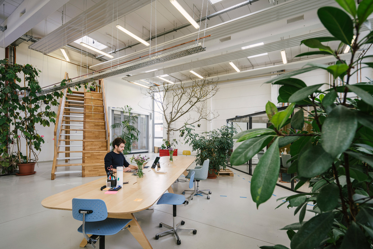 Blick in die Präsenzstelle Luckenwalde im offenen großen ehemaligen Gewerbehof sitze ein junger Mann am langen Besprechungstisch und arbeitet am Laptop. Im Hintergrund sind ein gläserner Besprechungsraum und Pflanzen zu sehen